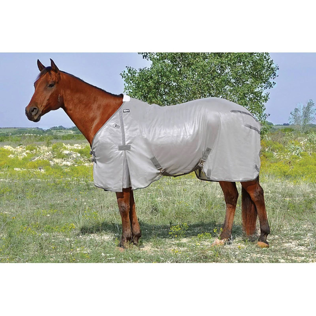 Econo Fly Sheet O20026