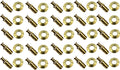 Brass Pool Cover Anchors for Inground Pools with Beauty Collar - 25 Pack U48739